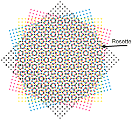 Rosette pattern overlaid